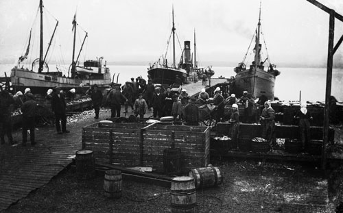 ������� ���� ���������� (Seaport of Reykjavik)