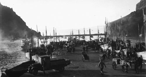 ������� ���� ���������� (Seaport of Reykjavik)