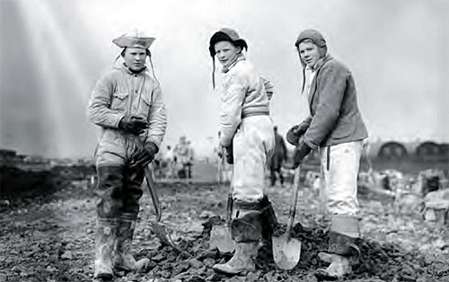 ���������� ������� (Icelandic workers)